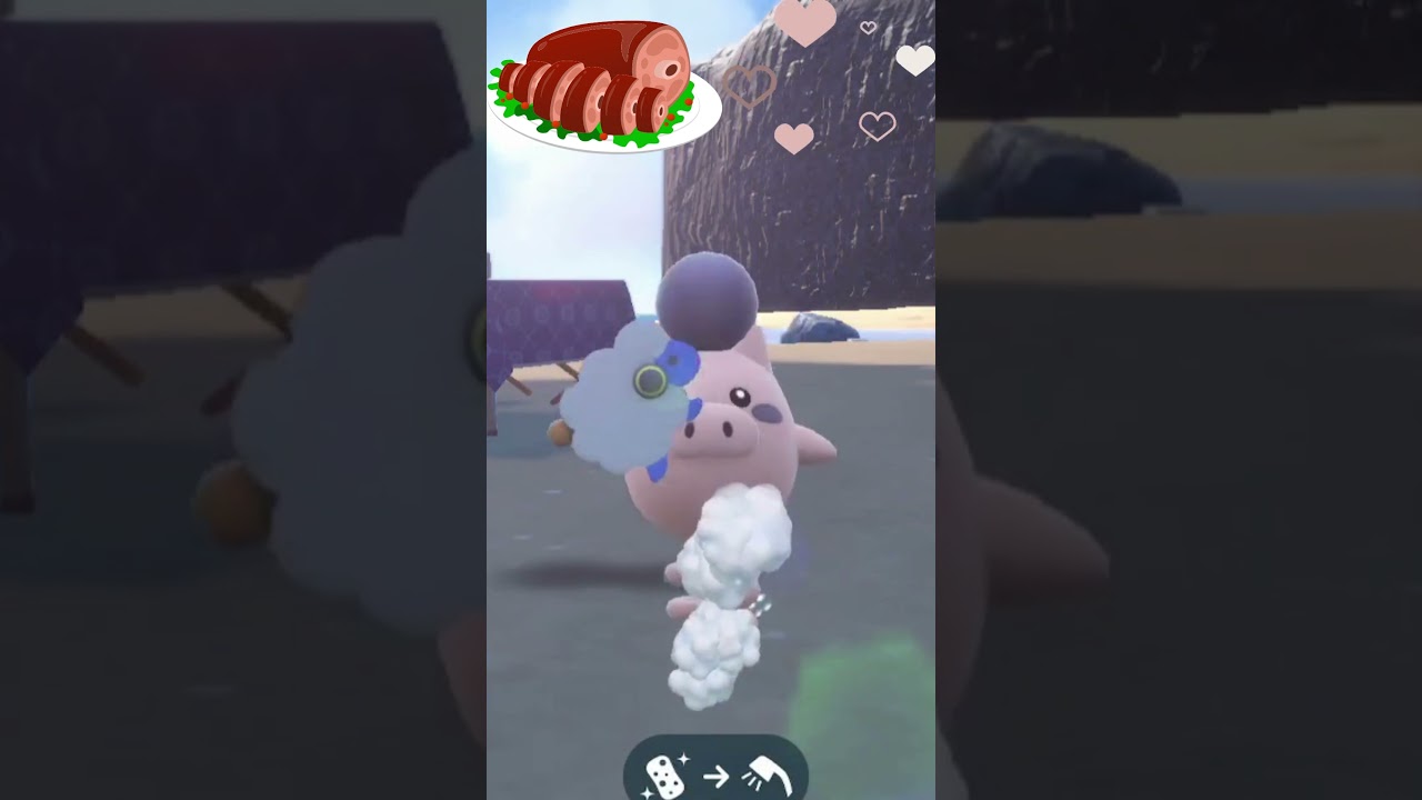 【ポケモンSV】バネブーを洗うだけ