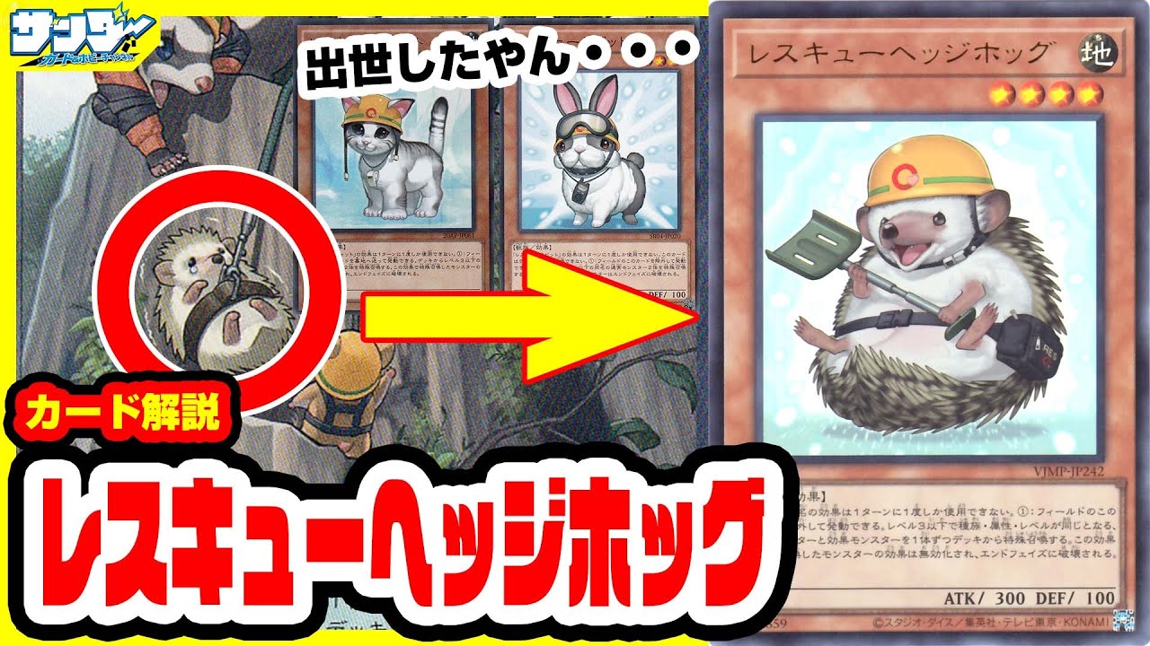 【#遊戯王】無限の可能性！早めにゲットせよ！！《レスキューヘッジホッグ》Vジャンプ付録10月特大号(2023年8/21(月)発売)【#カード解説】