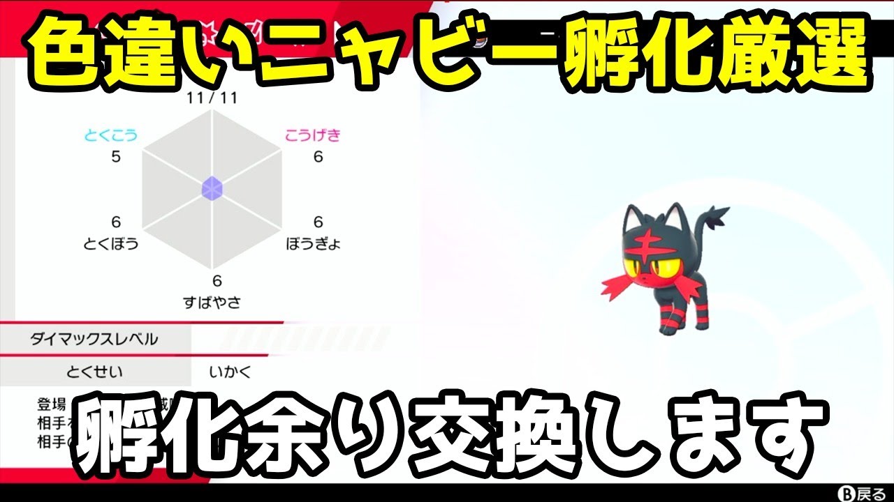 色違いニャビー孵化厳選やります！孵化余り交換します！【ポケモン剣盾】pokemon sword shield