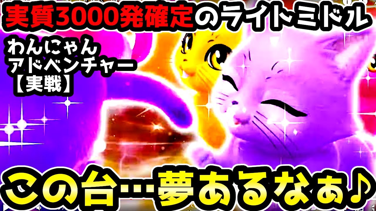 "実質3000発がやばい"これがライトミドル！？【Pわんニャンアドベンチャー】《ぱちりす日記》199 海物語 ギンパラ わんパラ 新台