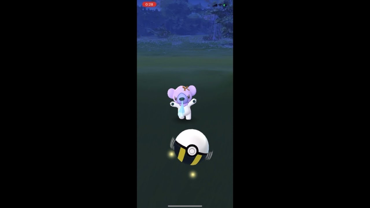 【ポケモンGO】リボン付きクマシュンの色違いゲットだぜ‼︎