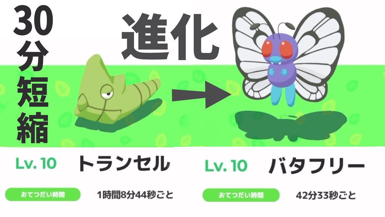 トランセルを進化させるとお手伝い時間が劇的に短縮した！【ポケモンスリープ】