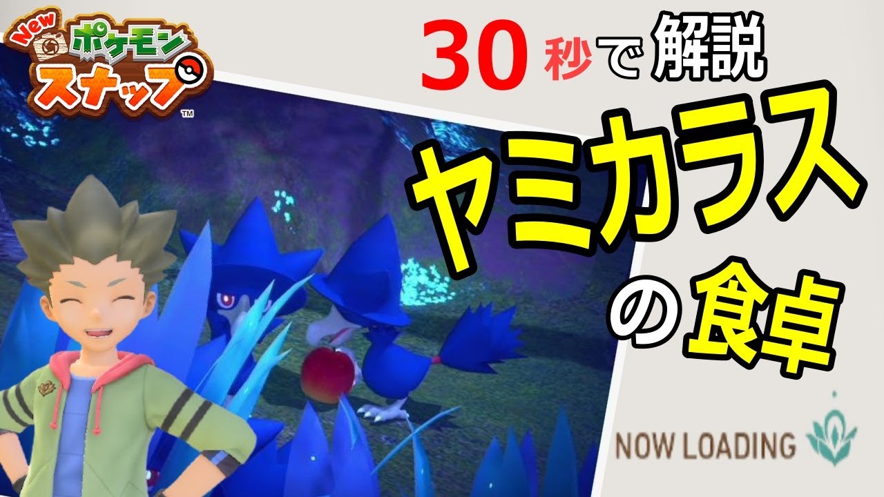 Newポケモンスナップ　リクエスト　『ヤミカラスのしょくたく』　30秒で解説