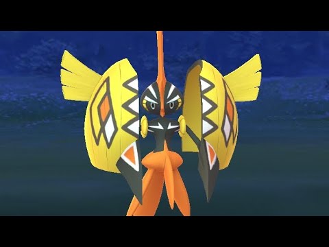 カプ・コケコ現る