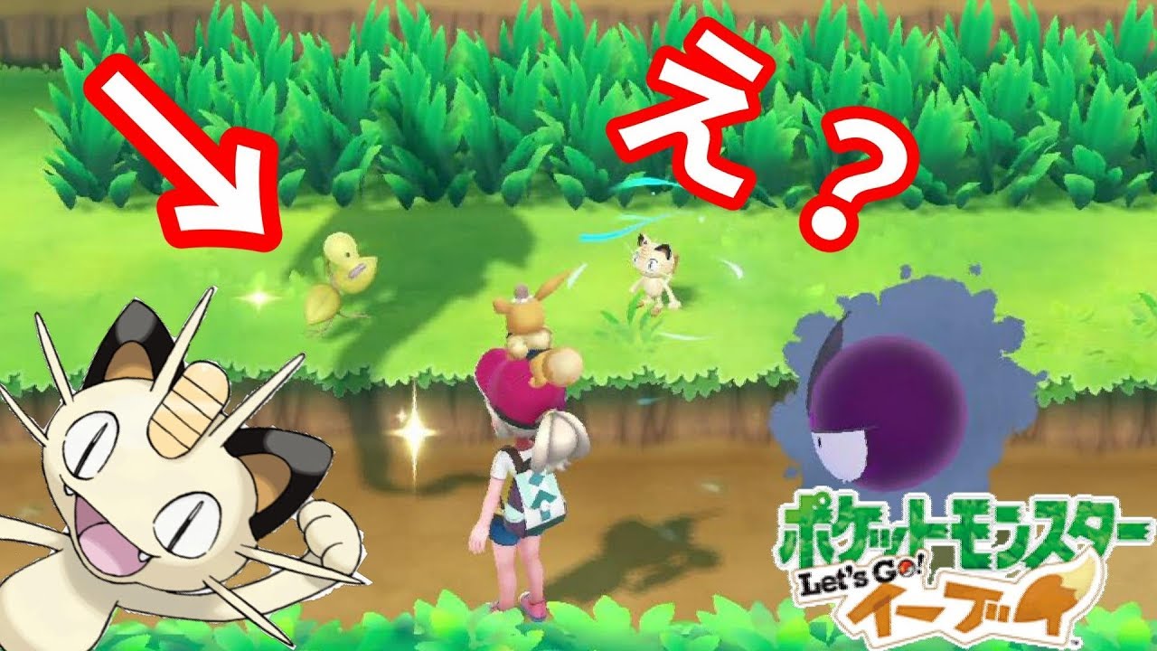 色違いでたー！と思ったら目当てのポケモンではなかった件について【ポケモンLet'sGO！イーブイ】