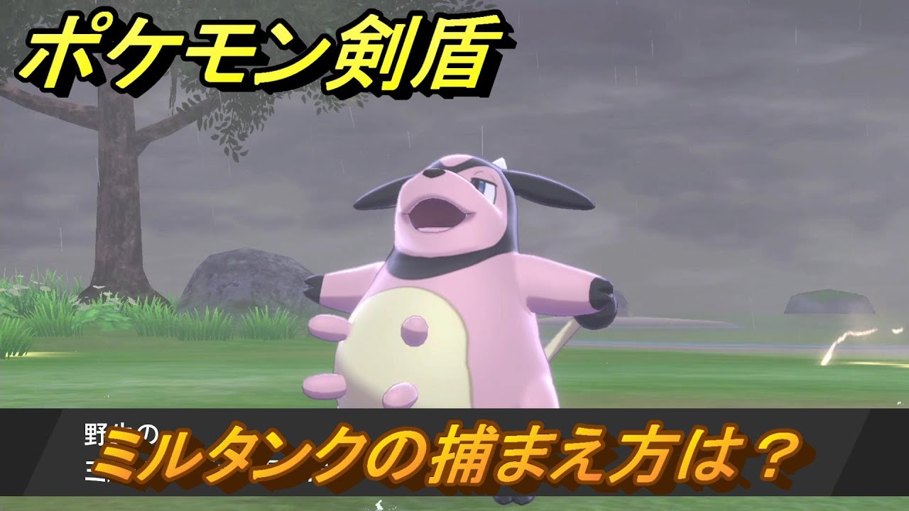 ポケモン剣盾　ミルタンクを捕まえる方法！オススメの場所は？天気は？ポケモン図鑑コンプへの道！　最新版【ポケモンソード・シールド】