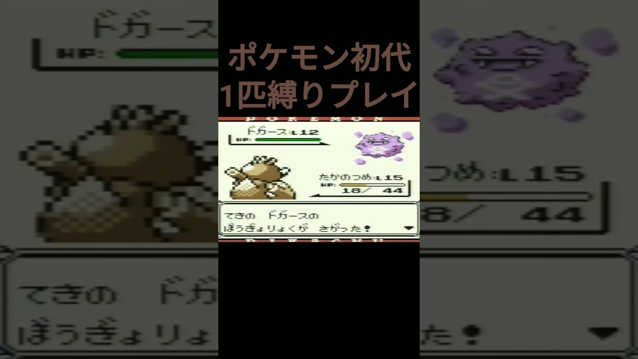 【ポケモン初代】ポケモン初代1匹縛りプレイ!!カモネギver【縛りプレイ】#ポケモン初代 #縛りプレイ #カモネギ #ゲーム実況