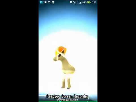 【ポケモンGO】ポニータを進化させてみた。