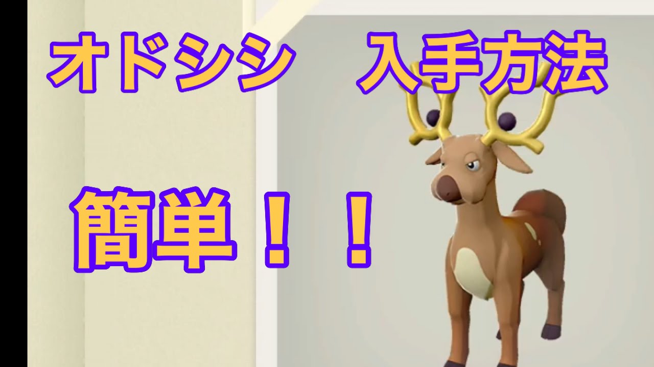 【Pokémon LEGENDS アルセウス】オドシシ入手方法　攻略動画