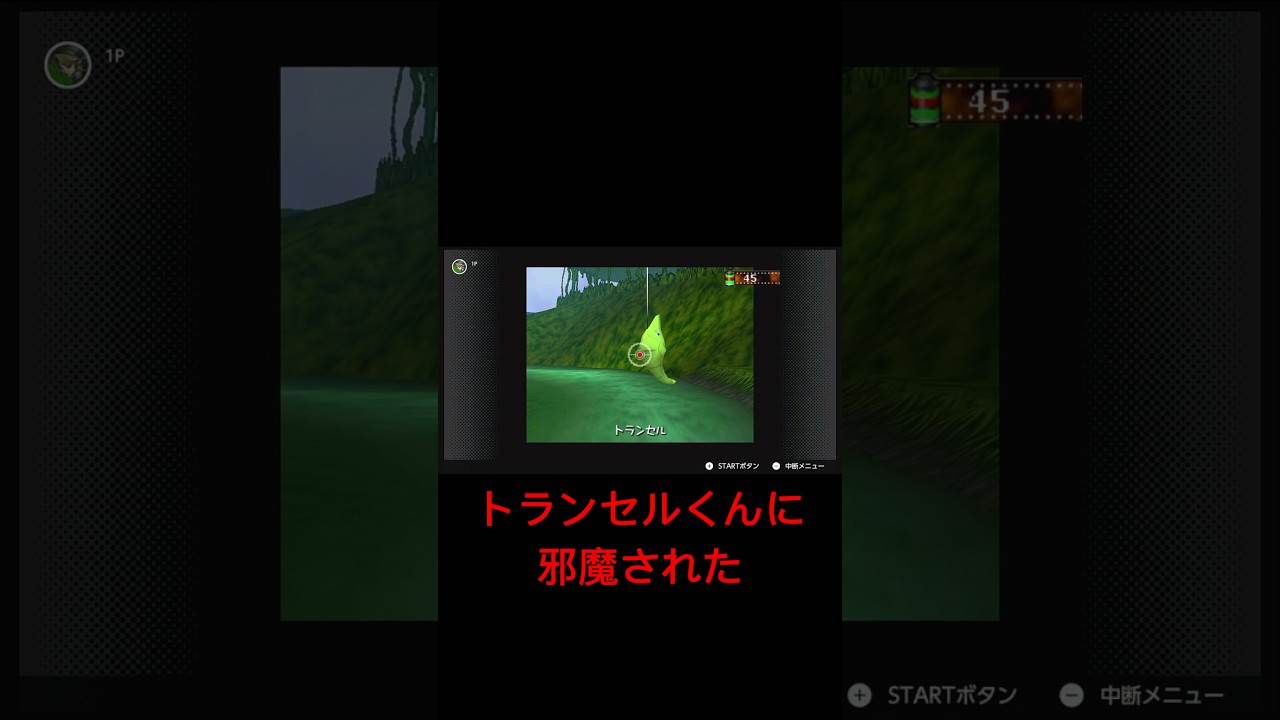 トランセルくんに邪魔された【ポケモンスナップ】