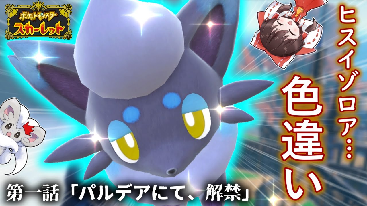【解禁】オシャボ入りの色違いヒスイゾロアが欲しい！！【ゆっくり実況】～野生の色違いで図鑑コンプの旅 (番外編)～【ポケモンSV】