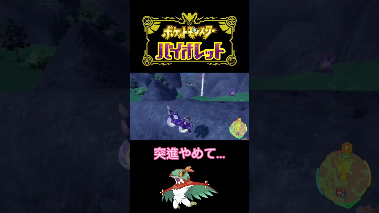 突進でプレイヤーを邪魔するルチャブル　【ポケモンsv】#shorts