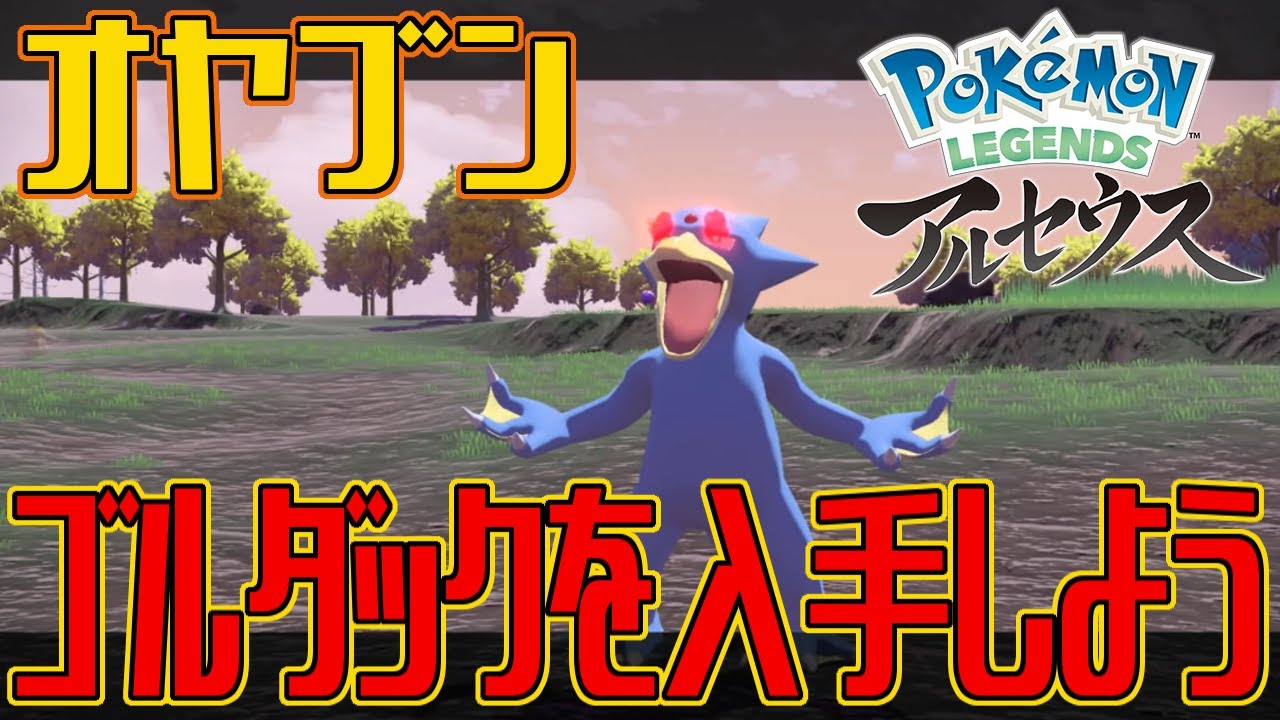 【ポケモンアルセウス】オヤブンのゴルダックを入手しよう【Pokémon LEGENDS アルセウス】