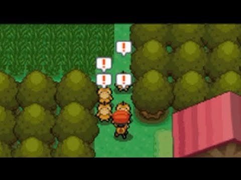 コダック群れ　ポケモンダイヤモンド part12