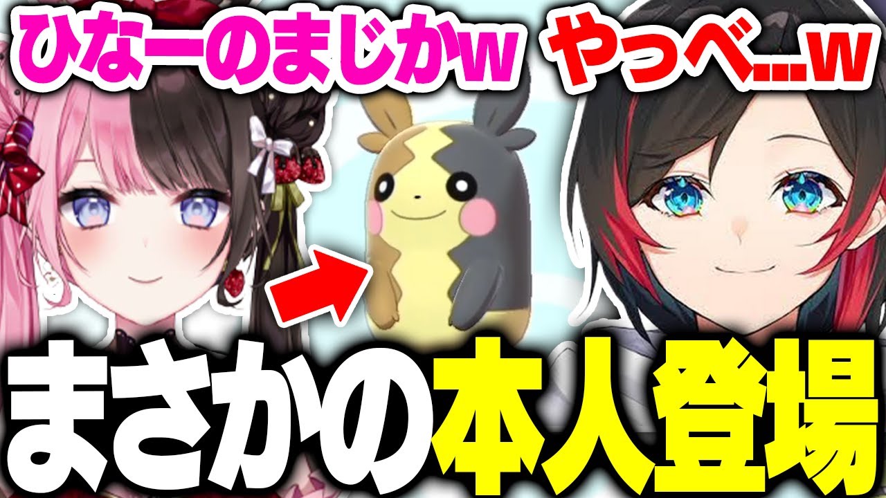 【ポケモン剣盾】モルペコに「ひなーの」と名付けた瞬間たまたま現れたひなーのに気まずくなるうるかw【切り抜き/うるか】