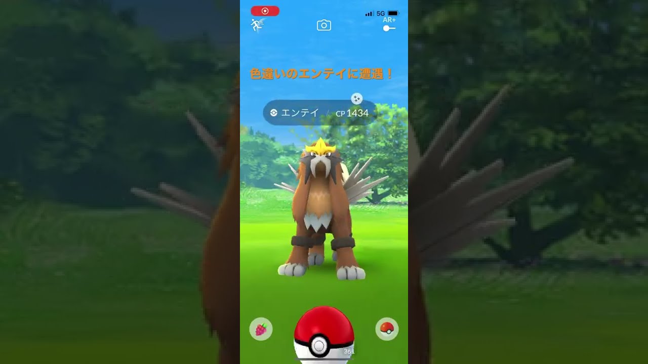 【ポケモンGO】ジョウトツアーで色違いのエンテイに遭遇! #shorts