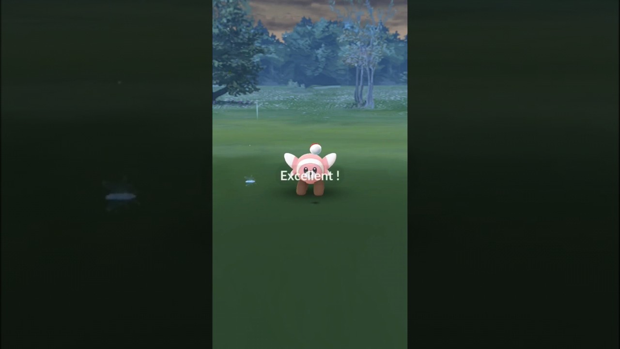 【ポケモンGO】 No.0759 ヌイコグマへのエクセレントスロー 【エクセレントスローずかん】