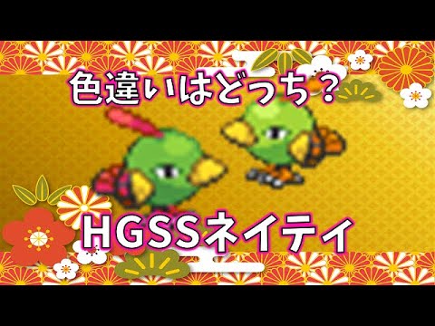 【色廃格付けチェック】～色違いネイティ～ #shorts