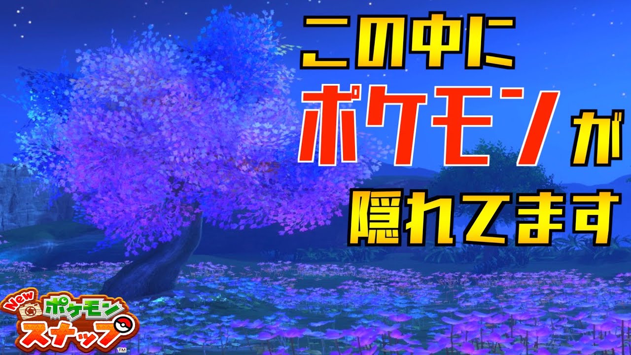 重要なのは○○！？  レアなメガニウムの仕草の撮り方を紹介【newポケモンスナップ】【攻略】