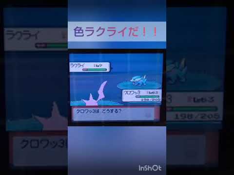 【ポケモンDP】色違い捕獲日記　4日目　ラクライ　【PokémonDP】The diary Capturing shiny Pokémon's.　Day4　Electrike　　#shorts