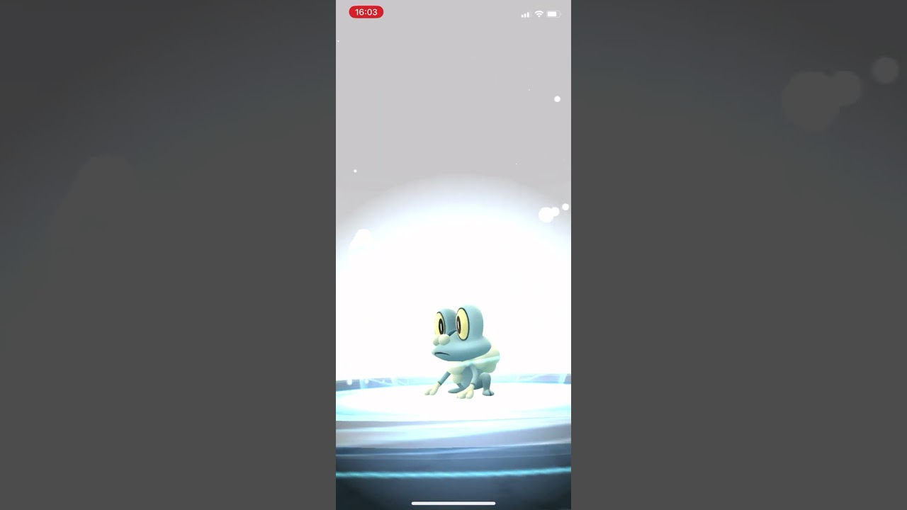 【ポケモンGO】色違いゲコガシラへ進化させる！コミュニティデイ #shorts