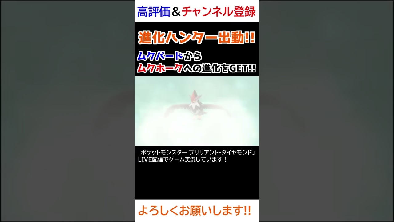 ムクバード→ムクホーク進化【ダイパリメイク】【進化ハンター】