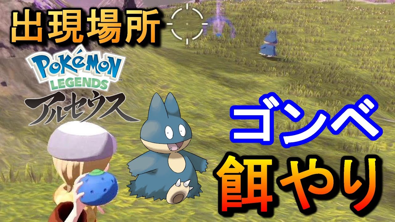 ゴンベへ餌やりする男。出現場所も紹介！【ポケモンレジェンズ アルセウス】