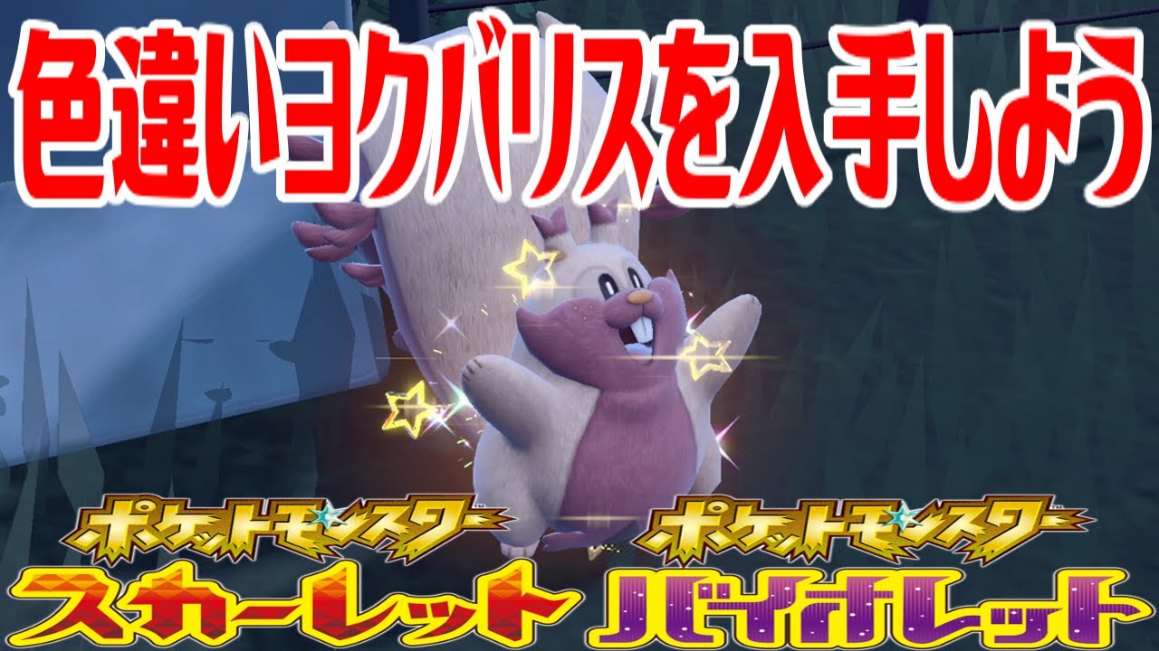 【ポケモンSV】色違いヨクバリスを入手しよう【ポケットモンスター スカーレット・バイオレット】Pocket Monsters