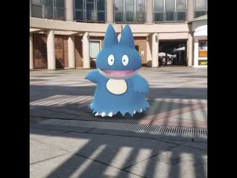 먹고자 ( Munchlax ) ゴンベ ( 小卡比獸 )