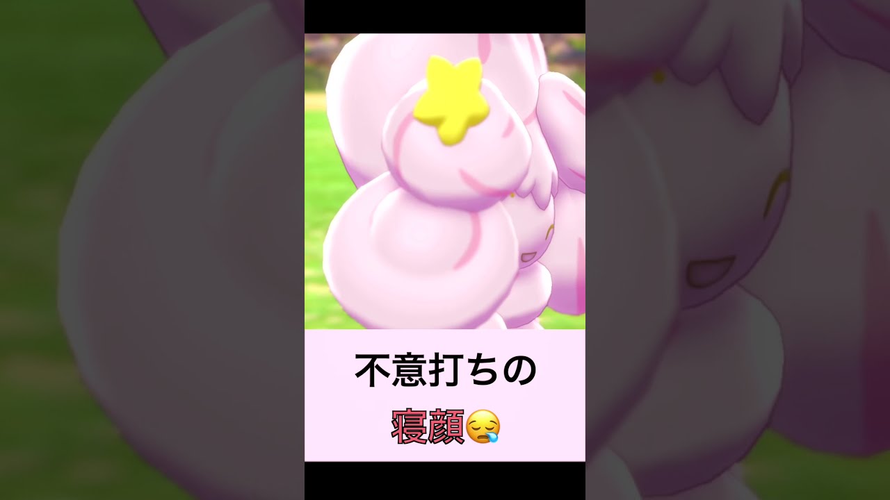 不意打ちの寝顔😪【劇団マホイップ】#shorts