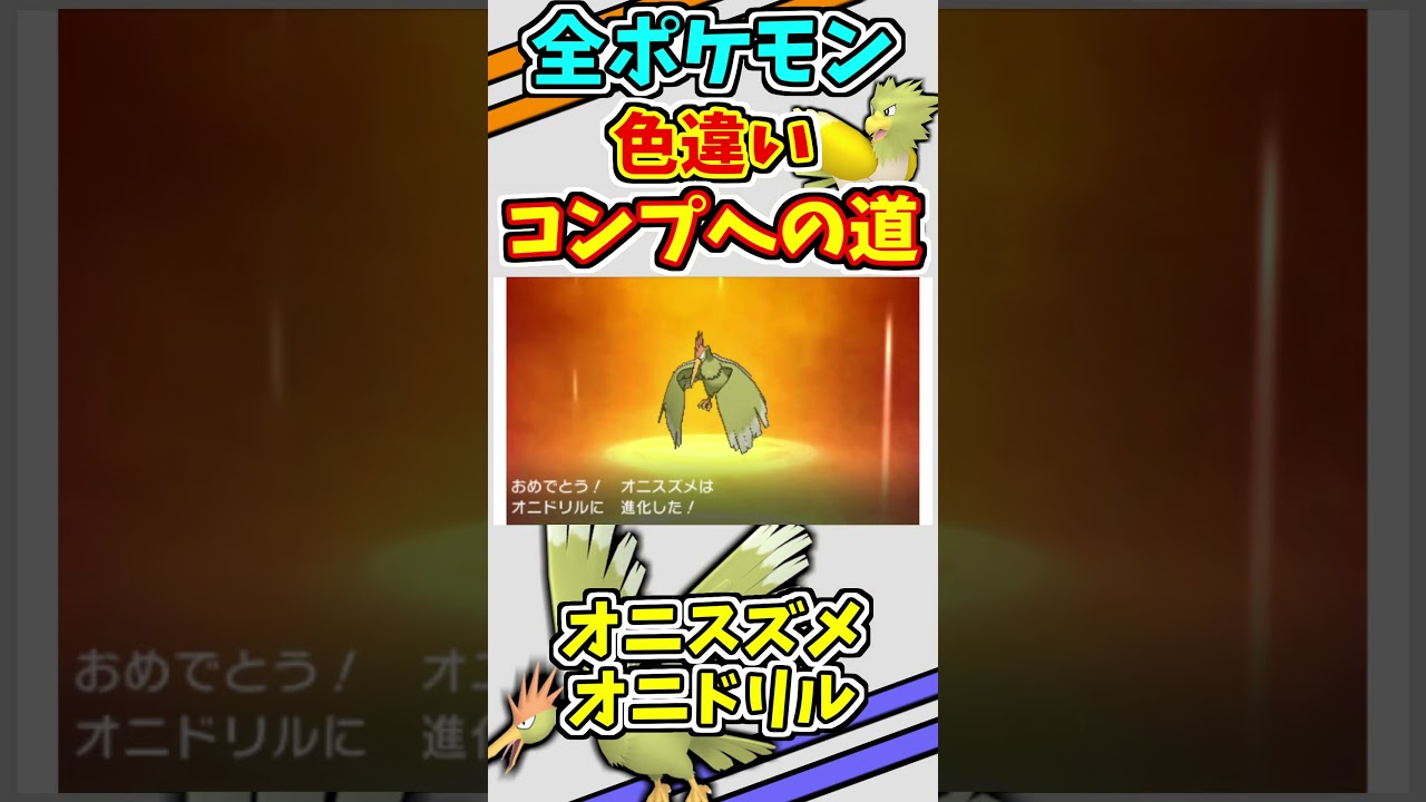 オニスズメ、オニドリルの色違いをゲットする！！【ポケモンUSUM】【仲間呼び連鎖】#shorts