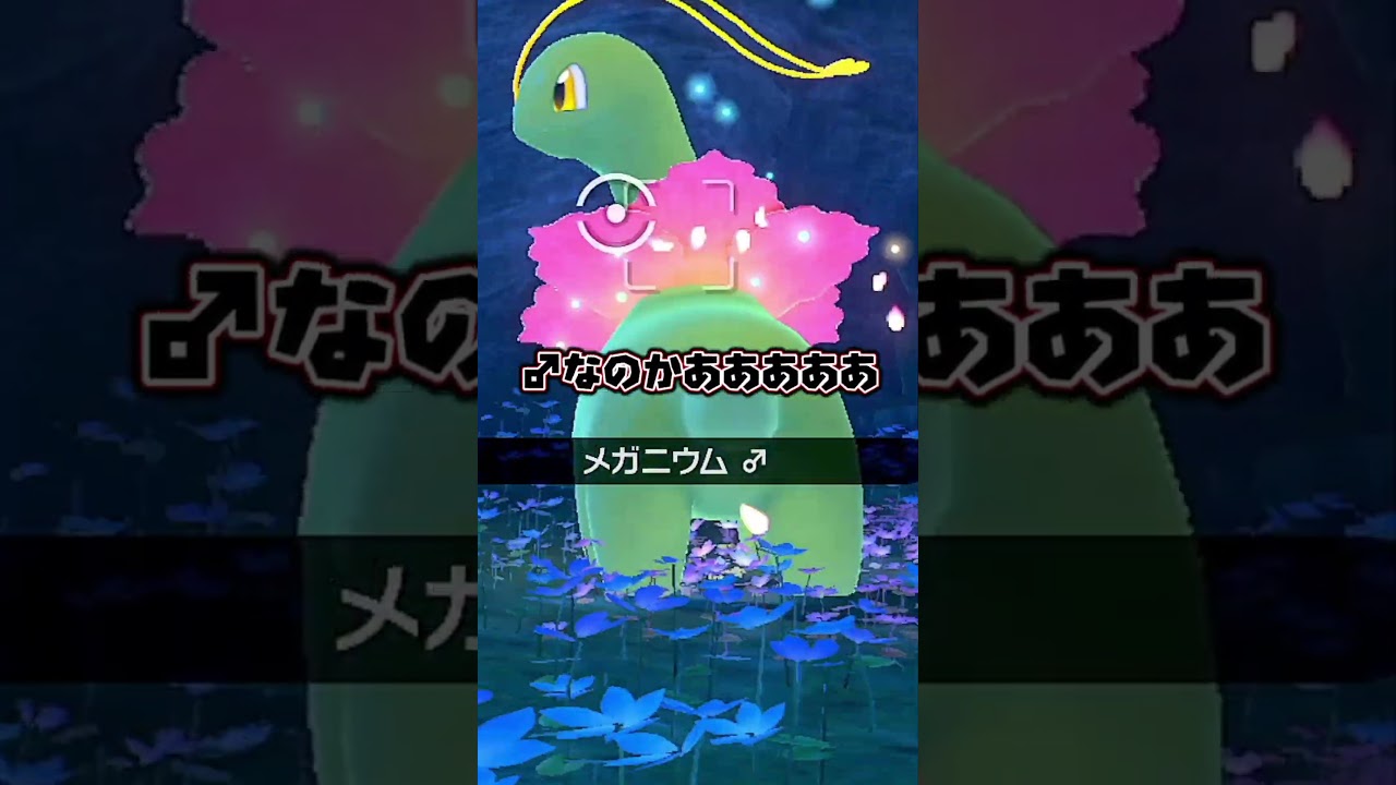 メガメガニウムの〇玉【Newポケモンスナップ】【ゲーム実況】