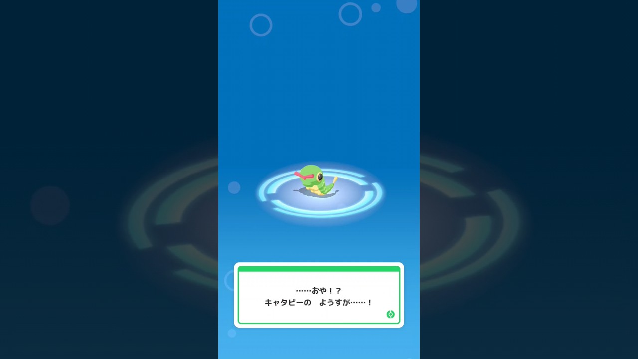 【ﾎﾟｹﾓﾝ】キャタピー3段進化【ｽﾘｰﾌﾟ】#shorts #pokemon #pokemonsleep