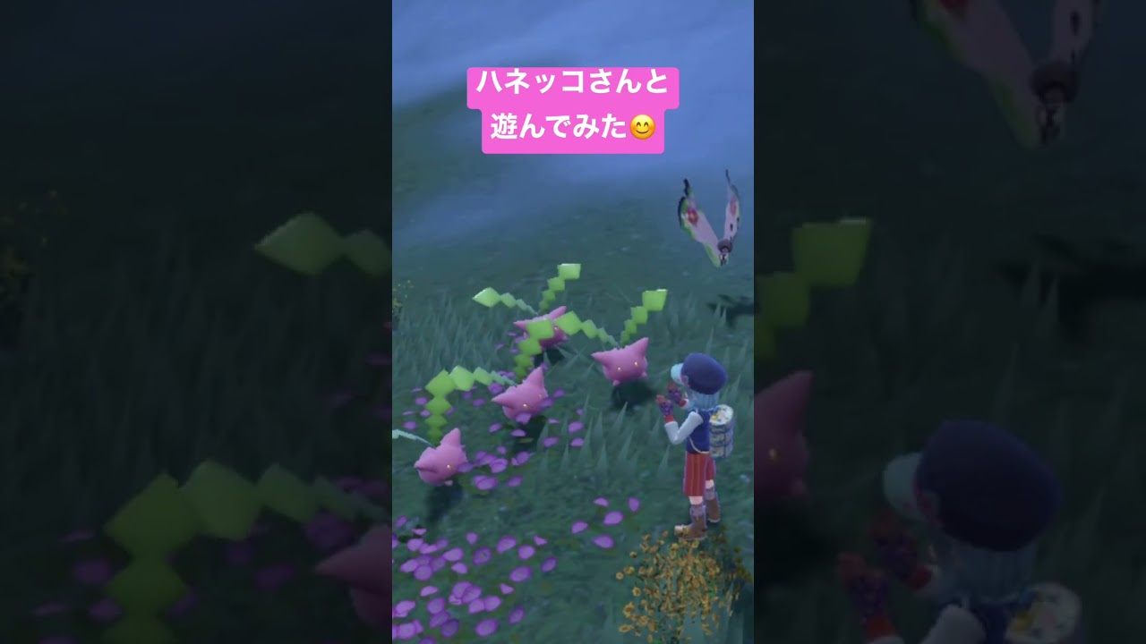 【 #ポケモンSV 】ハネッコさんにただ癒される回 #shorts #ポケモン #ハネッコ