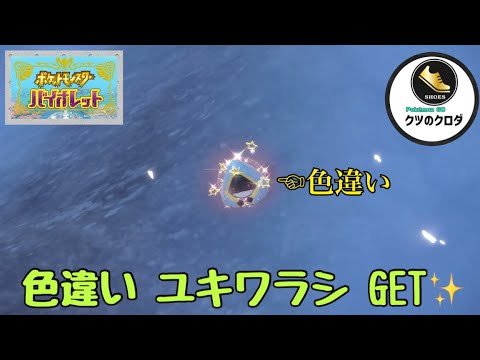 【ポケモンSV】Shiny Snorunt GET✨ Snorunt → Glalie Evolve 🔥