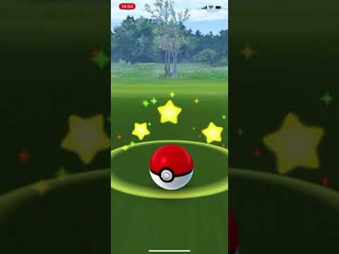 【ポケモンGO】ガラルポニータGET！【タイムチャレンジタスク】