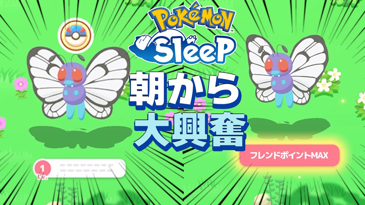 久々のうとうとタイプ、このバタフリー期待していいよね？【ポケモンスリープ/ゲーム実況】