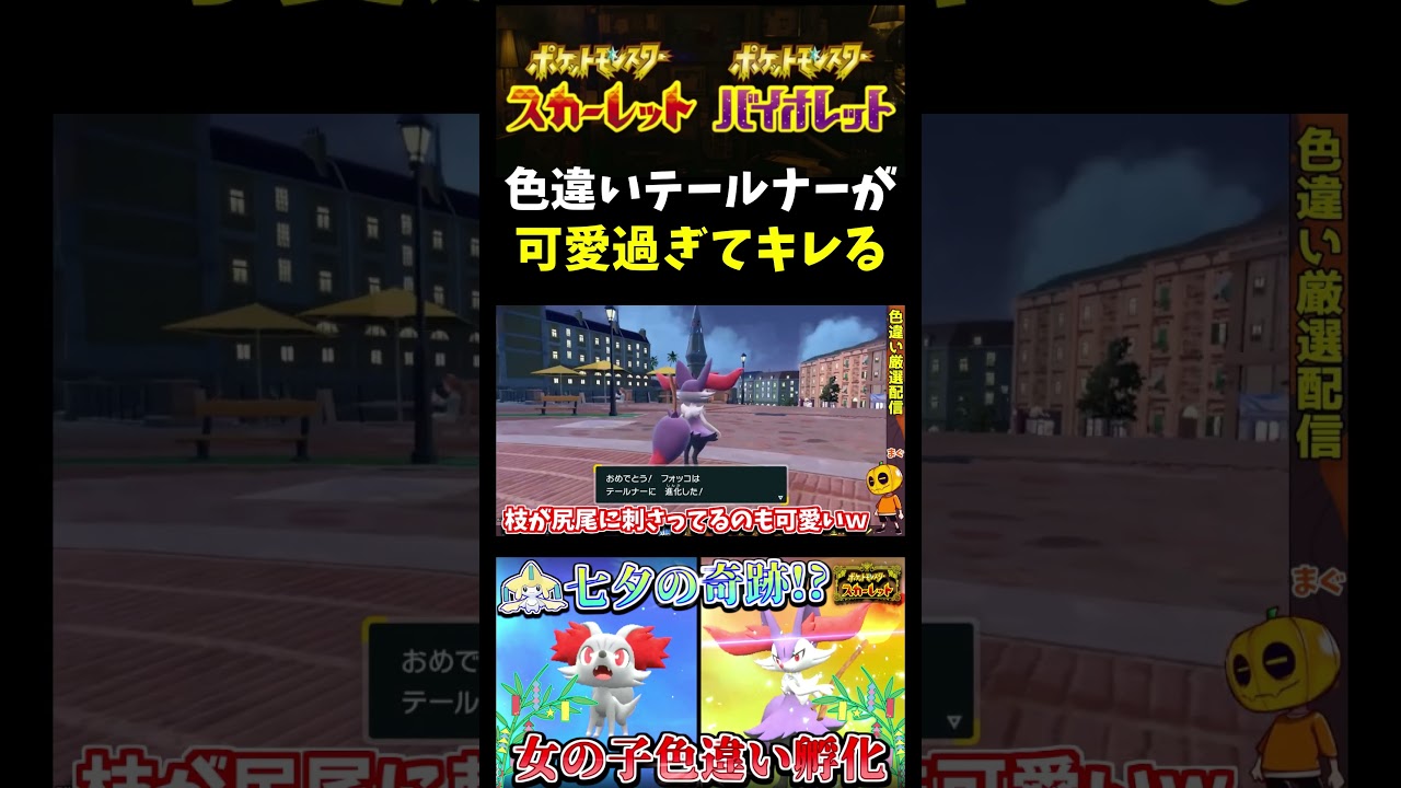 【ポケモンSV】可愛くてごめん!?色違い女の子フォッコをテールナーに進化させたら可愛すぎるｗｗｗ【スカーレット】【ポケモン】【切り抜き】【色違い厳選】【色違いポケモン】#shorts