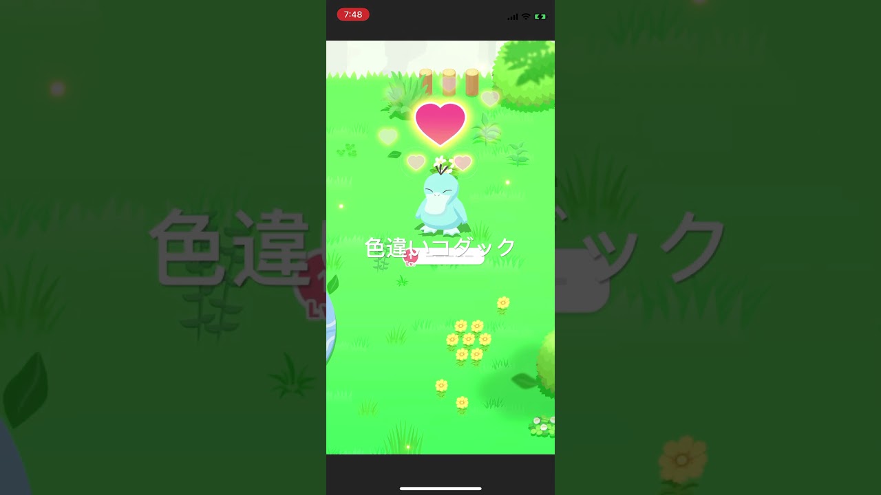 ポケモンスリープ　色違いコダック出現！ #pokémon #ポケットモンスター