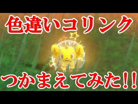 【ポケモンSV】色違いコリンクつかまえてみた！！