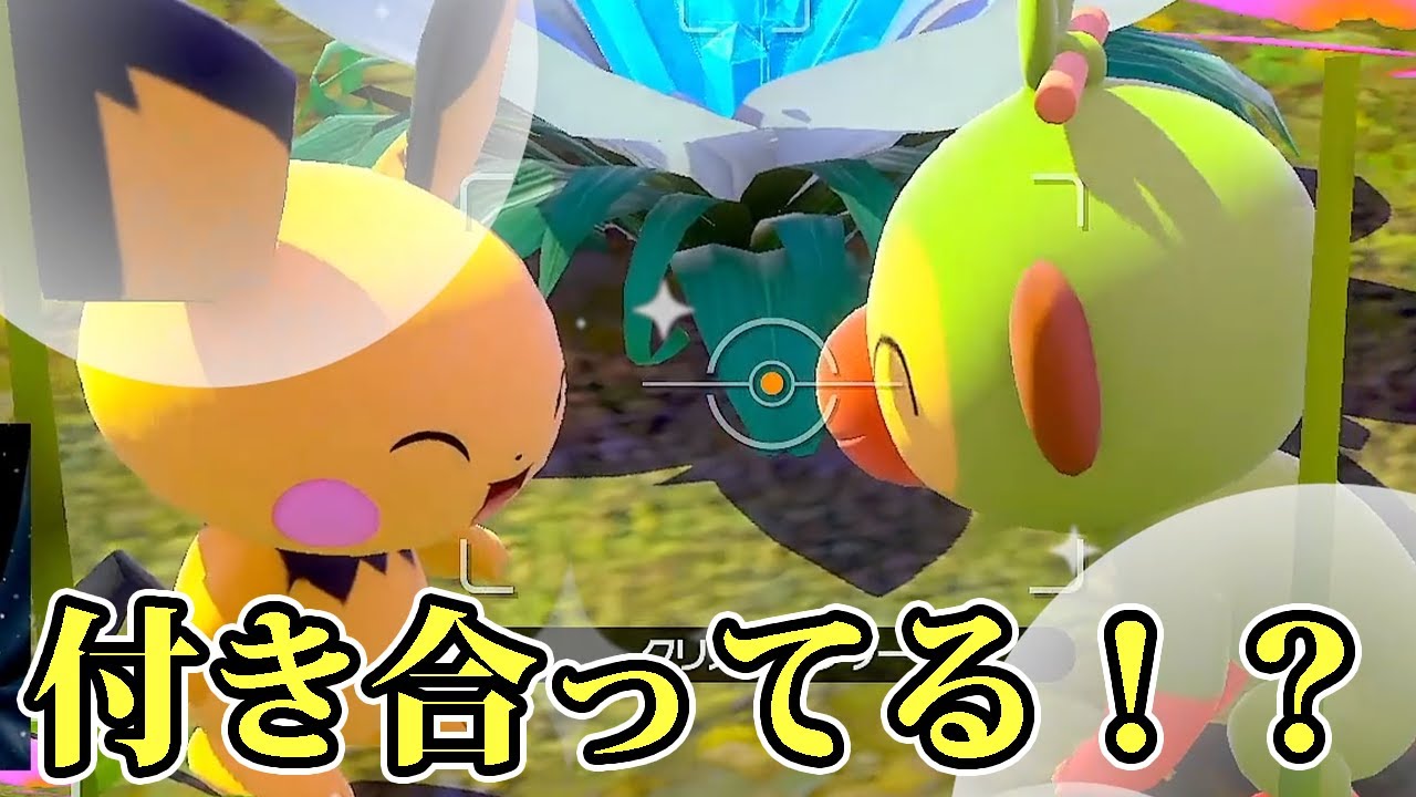 サルノリ君とピチューちゃんは付き合ってます【Newポケモンスナップ】【ゲーム実況】