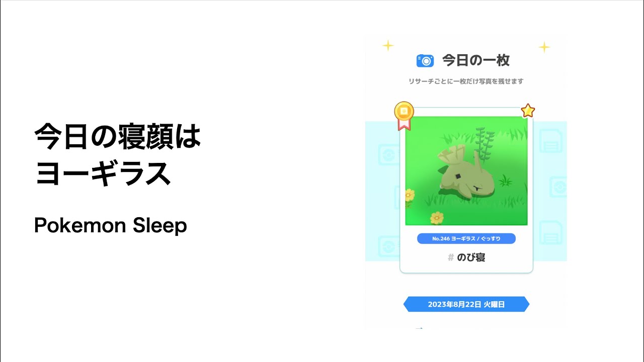ポケモンスリープ 今日の寝顔はヨーギラス
