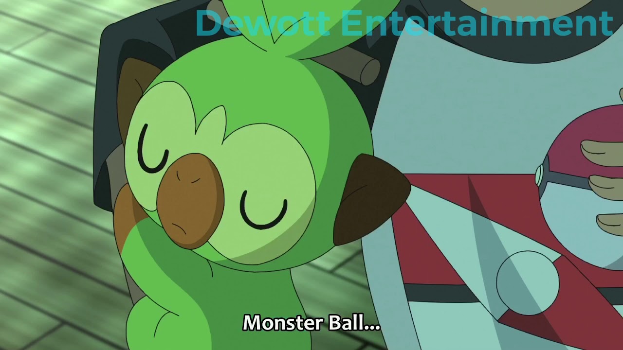 Grookey Cute Moments (Episode 59)