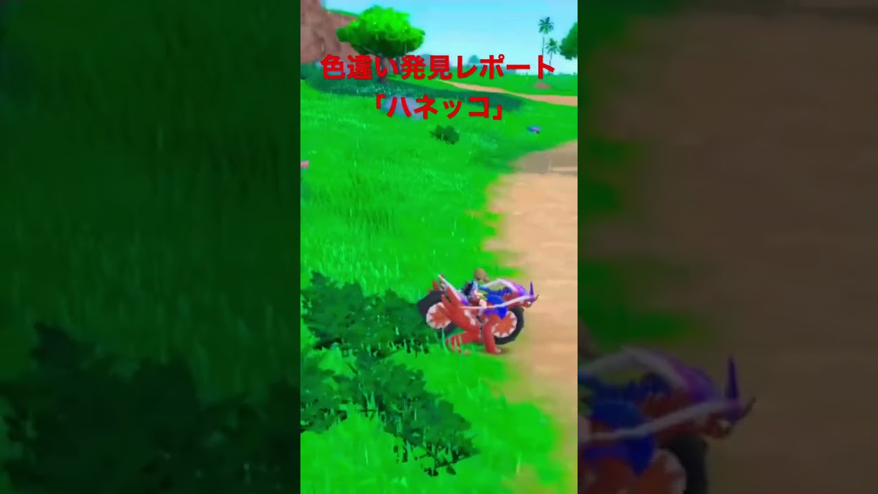 ポケモンSV色違い発見レポート「ハネッコ」