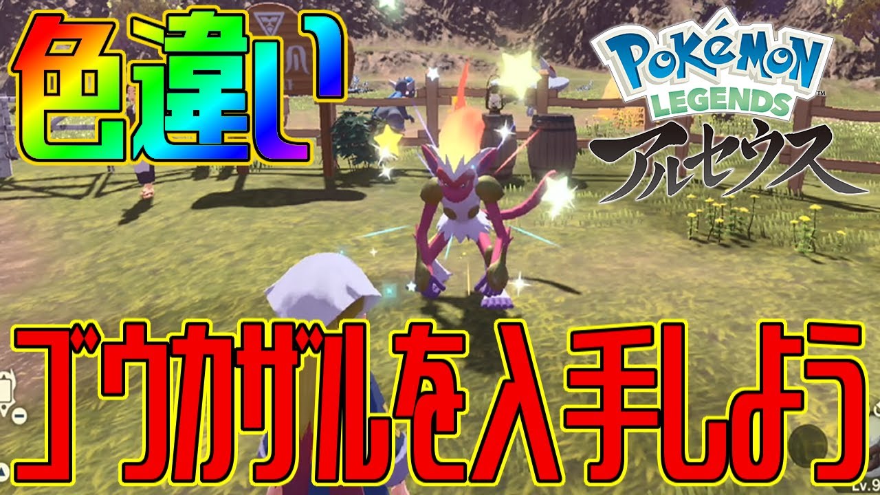 【ポケモンアルセウス】色違いゴウカザルを入手しよう 進化入手【Pokémon LEGENDS アルセウス】