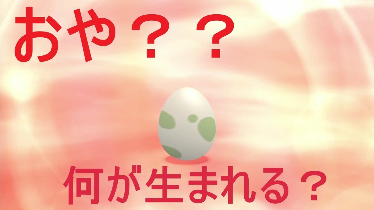 たまごからピンプク誕生！
