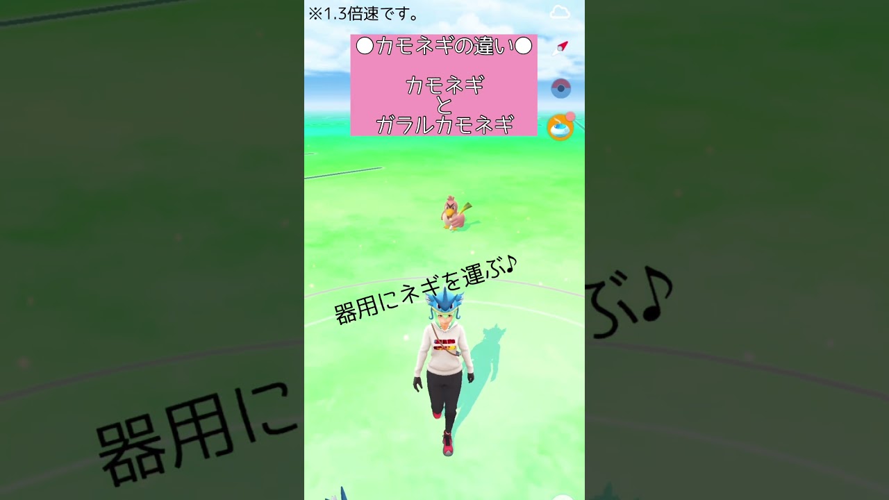 【ポケモンGO】#6 相棒ポケモンの移動する姿が好き♪（カモネギ・ガラルカモネギ）【PokémonGO】 #shorts