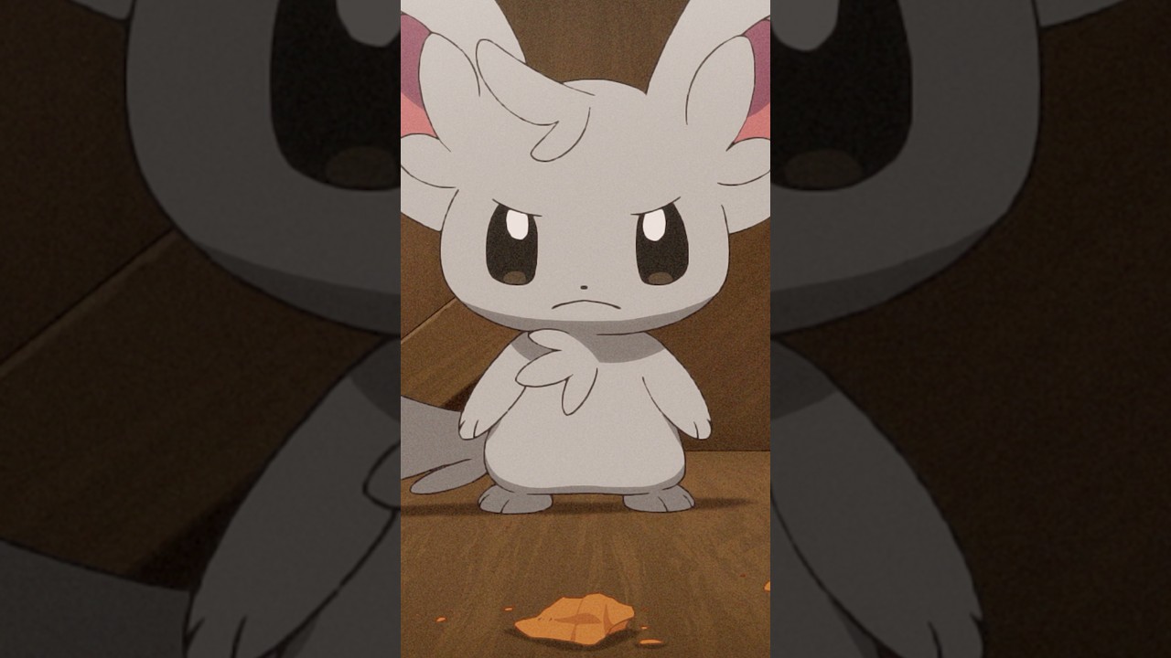 Poor Minccino 😔 #pokemon #POKETOON
