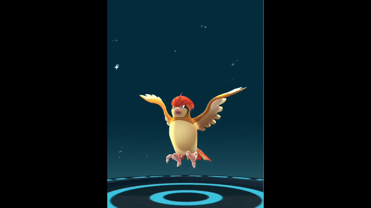 ポケモンGO！進化映像「ポッポ→ピジョン→ピジョット」高画質