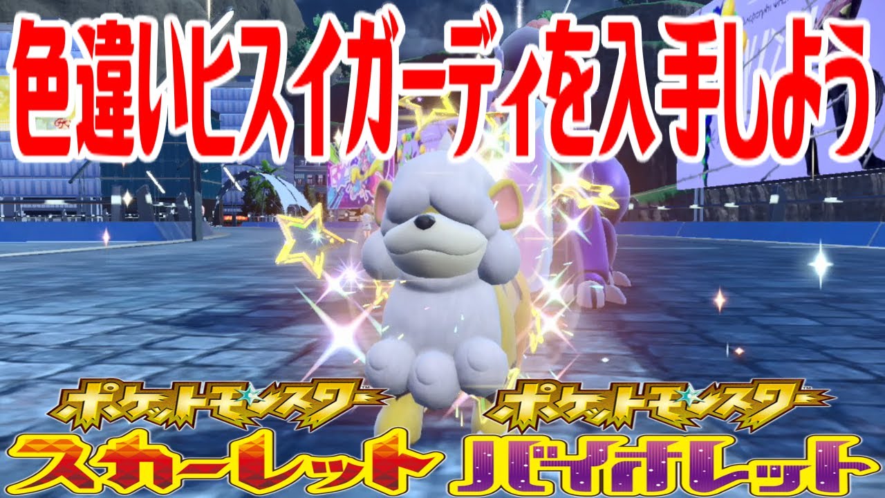 【ポケモンSV】色違いヒスイガーディを入手しよう タマゴふか(タマゴ孵化)【ポケットモンスター スカーレット・バイオレット】Pocket Monsters